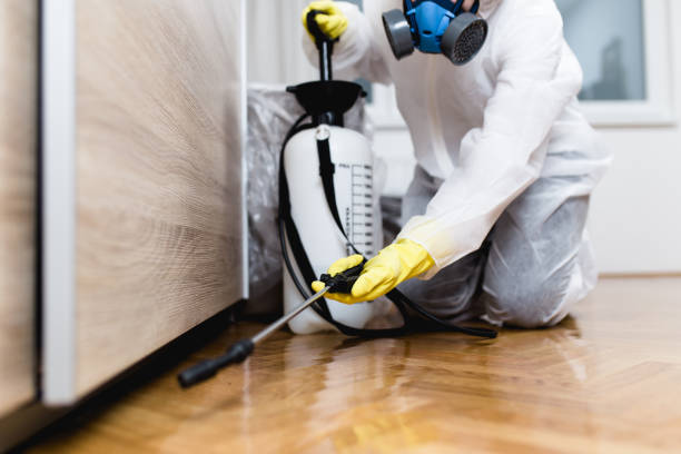 Best Best Pest Control Companies  in New York Mills, MN