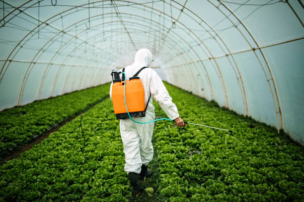 Pest Prevention Services in New York Mills, MN