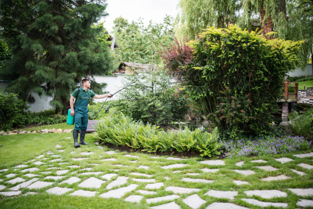 Best Rat Extermination Near Me  in New York Mills, MN