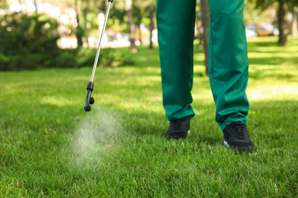 Best Bed Bug Extermination  in New York Mills, MN