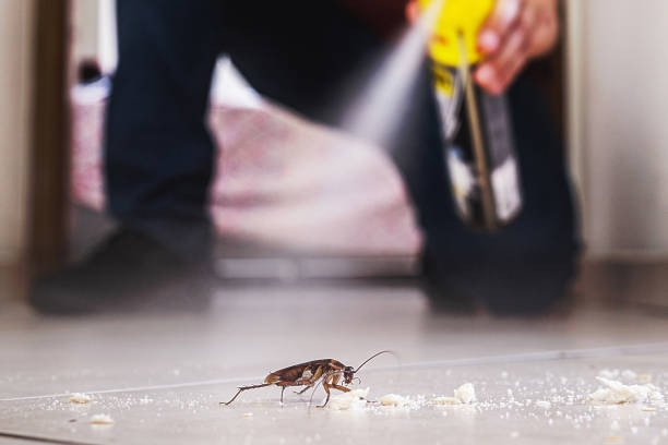 Professional Pest Control in New York Mills, MN