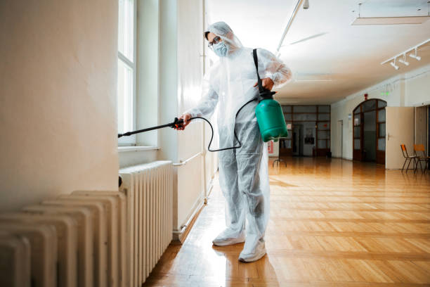 Best Insect Control  in New York Mills, MN