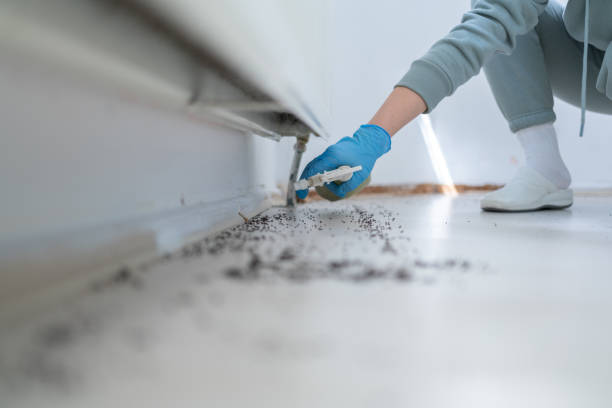 Best Best Pest Control Companies  in New York Mills, MN