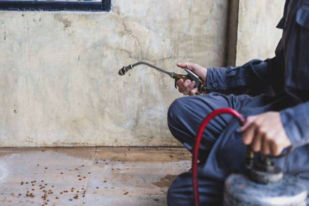 Best Pest Control Near Me  in New York Mills, MN