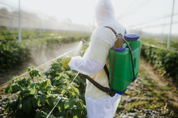Best Emergency Pest Control  in New York Mills, MN